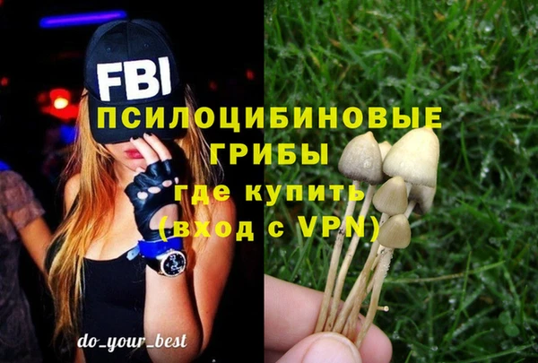 амф Абинск